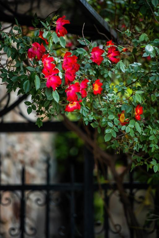 Mulberry House Villa Sithonia Luaran gambar